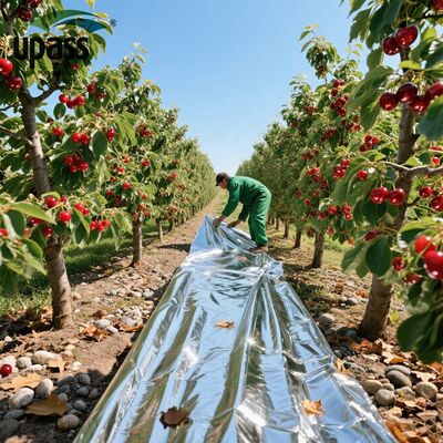 Premium Agricultural Reflective Silver Blow Molding Plastic Mulch Film-Degradable Weeds Preventing for Cherry Trees