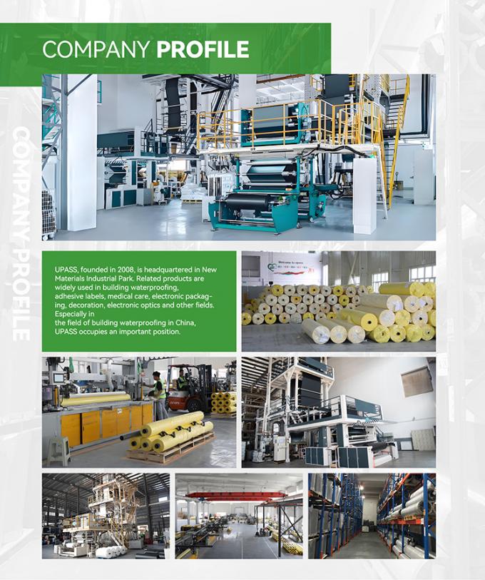 カンパニー情報